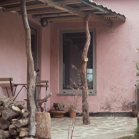 Cabana Do Dinamarques Em Arga De Baixo エクステリア 写真