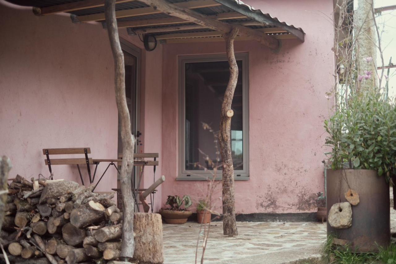 Cabana Do Dinamarques Em Arga De Baixo エクステリア 写真