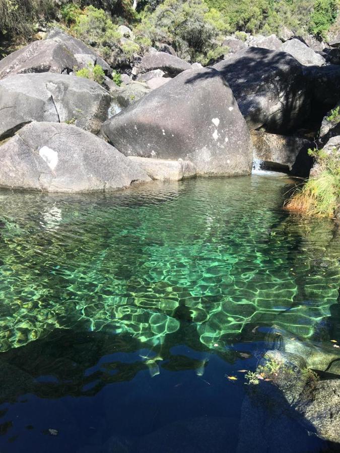 Cabana Do Dinamarques Em Arga De Baixo エクステリア 写真